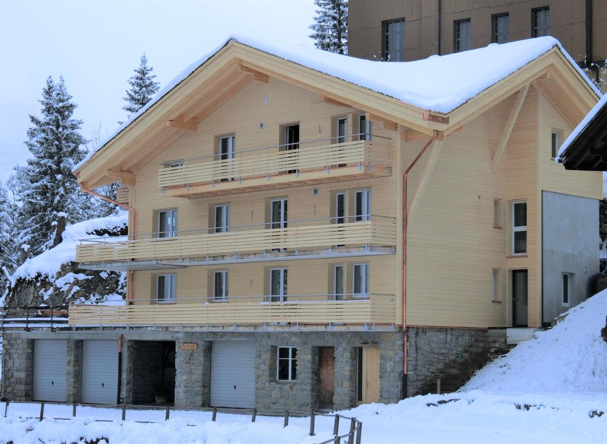 Chalet Raufthubel Apartment Murren Exterior photo